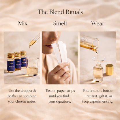 Whiff & When Beginner Kit